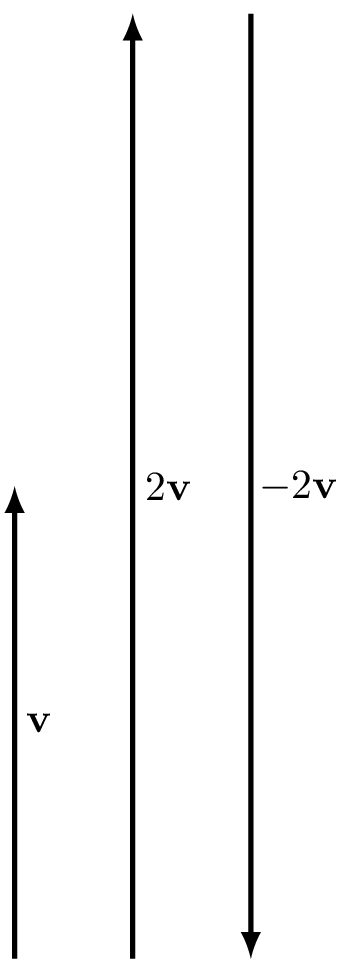 Scalar multiplication of a vector $\mathbf{v}$.